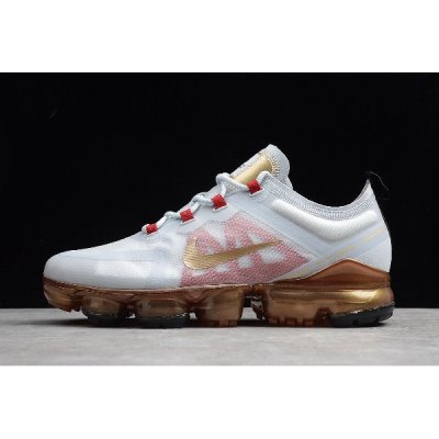 Nike Erkek Air Vapormax Platini / Metal Koşu Ayakkabısı Türkiye - VWBWL575